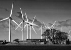 Tim Swetnam - Wind Farm.jpg